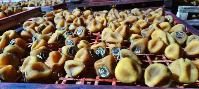 广西桂林精品柿饼大量上市，产地一手货源，规格多样欢迎选购