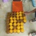 广西野生蜂蜜货量充足可视频欢迎来电咨询