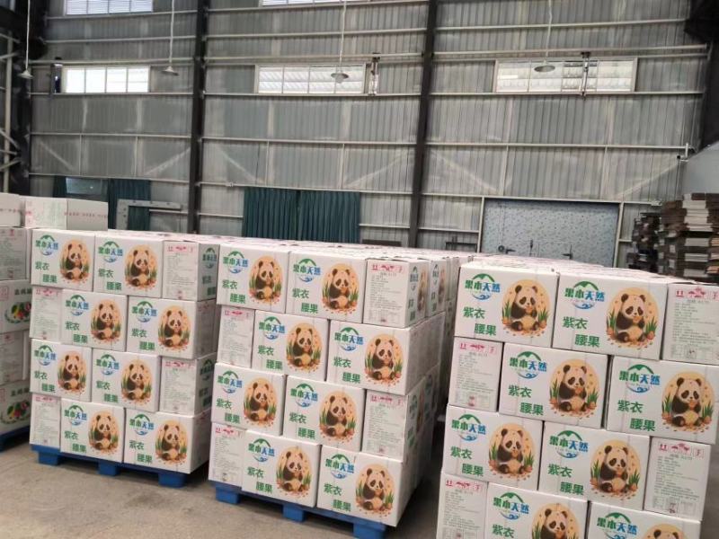 越南精品紫衣腰果，产地一手货源货源充足稳定，规格多样欢迎选购