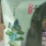 张家界莓茶