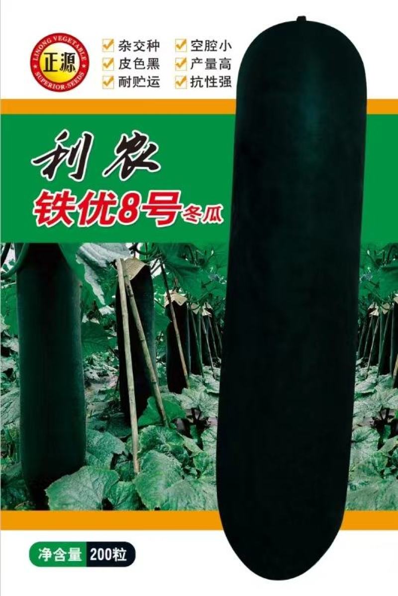 黑皮冬瓜种子利农铁优8号肉厚腔小大果早熟产量高品质好