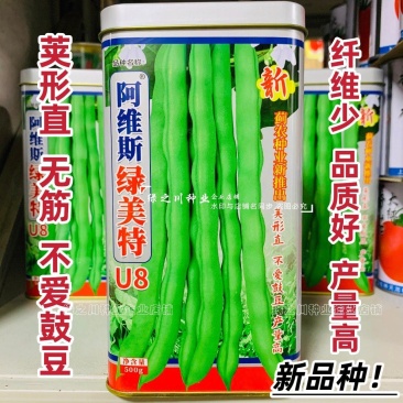 绿美特U8架豆种子春秋菜豆绿色无筋豆种子肉厚不爱鼓豆四季
