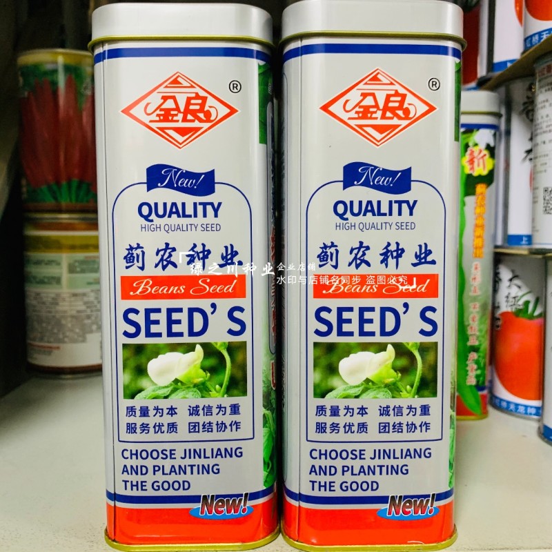 绿美特U8架豆种子春秋菜豆绿色无筋豆种子肉厚不爱鼓豆四季