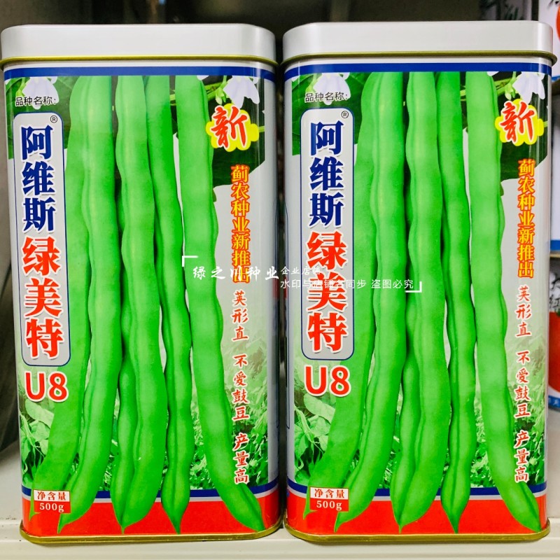 绿美特U8架豆种子春秋菜豆绿色无筋豆种子肉厚不爱鼓豆四季