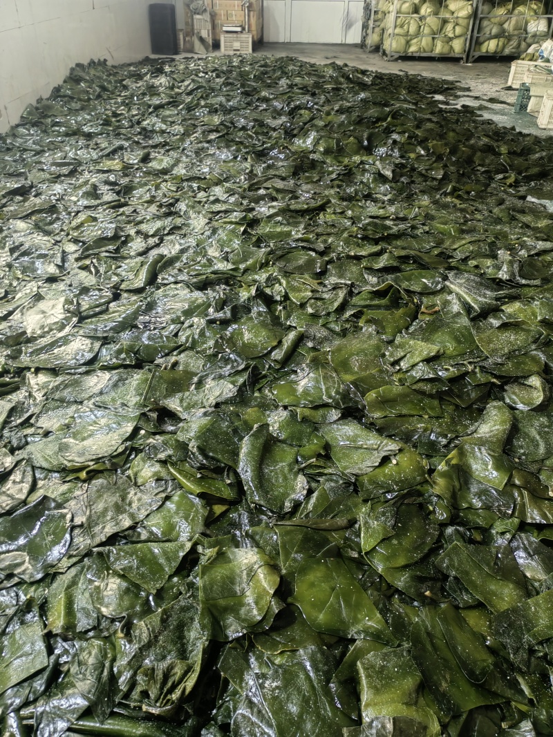 海带小头一袋泡30斤左右，精挑细选，纯厚绿头