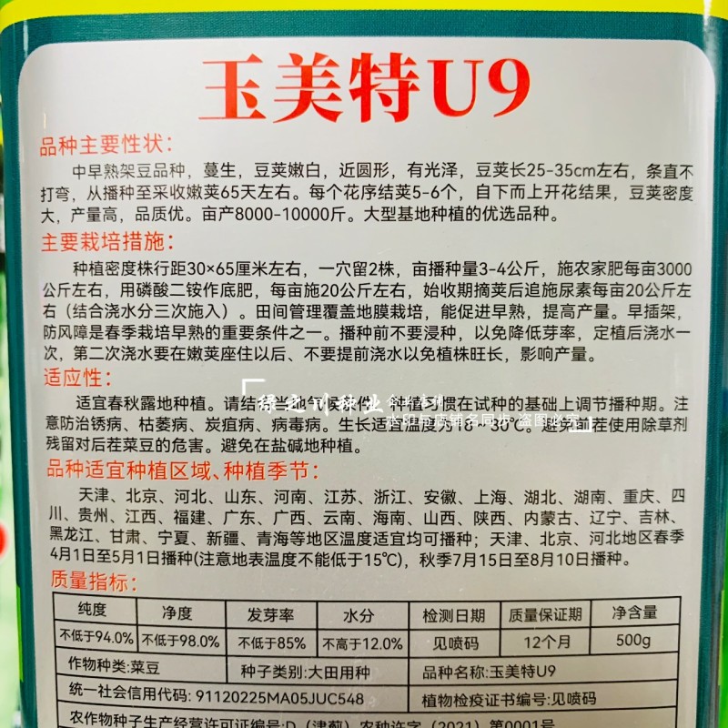 奶油豆种子玉美特U9架豆种子嫩白绿色有光泽豆角种籽条直