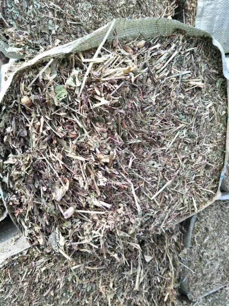 【东北花生秧草】货源充足品质保证可长期合作欢迎来电
