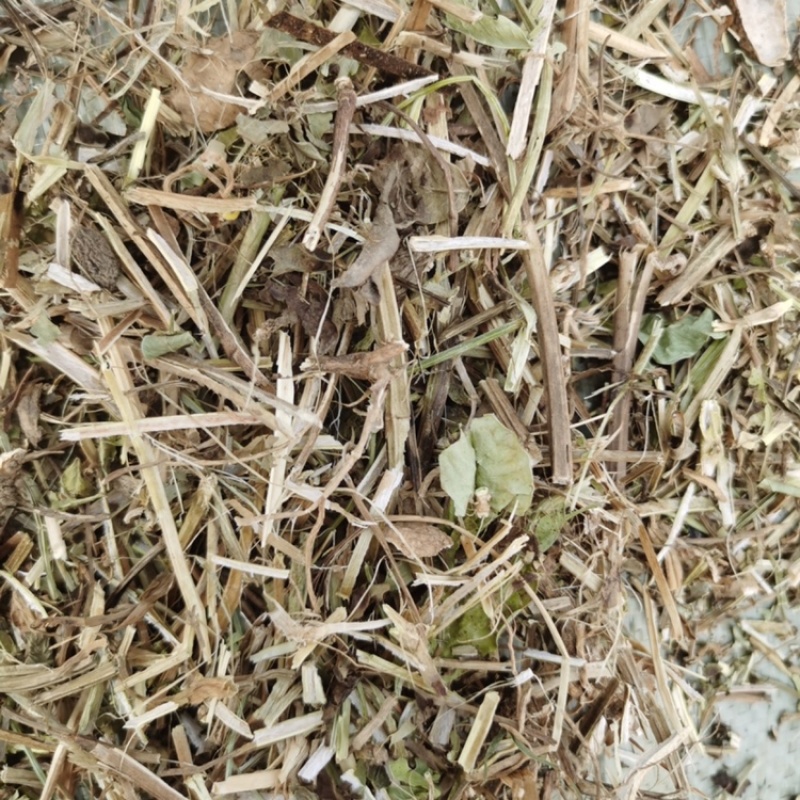 【东北花生秧草】货源充足品质保证可长期合作欢迎来电