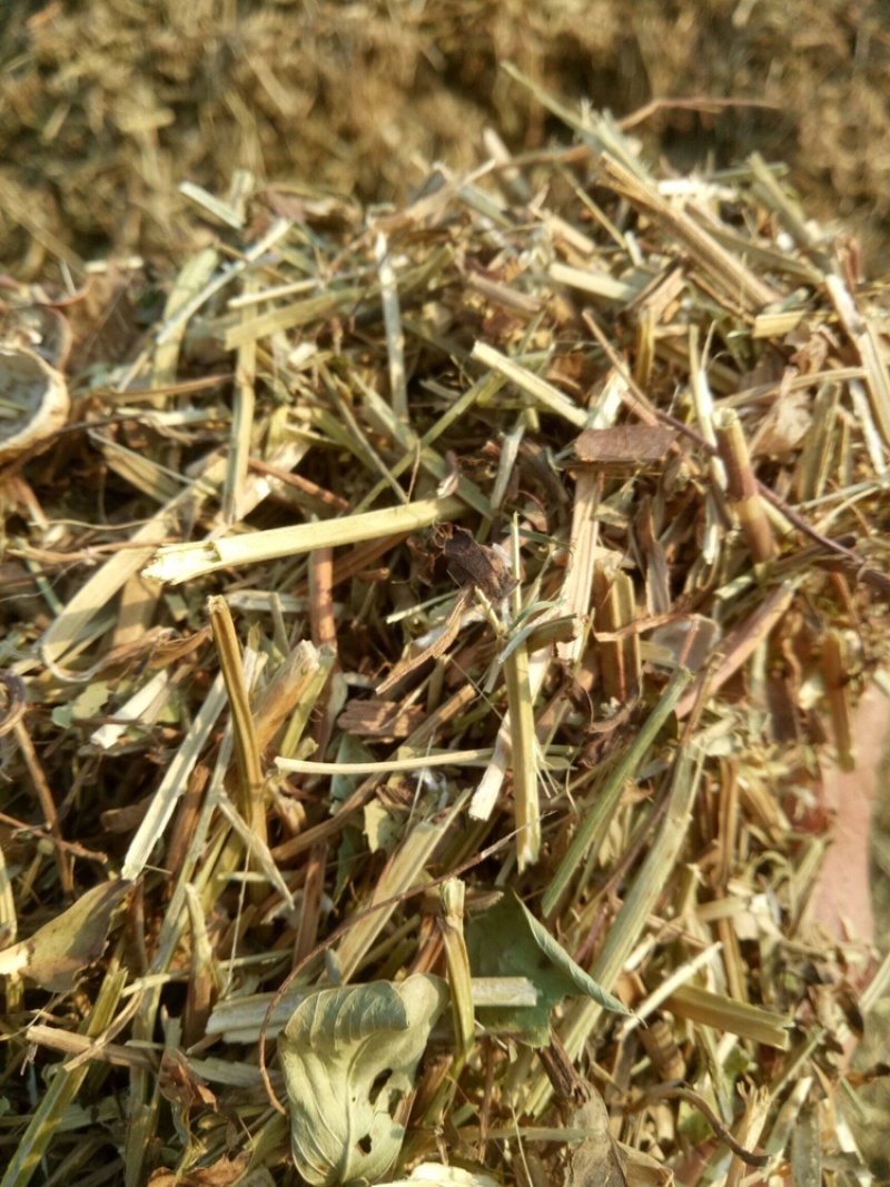 【东北花生秧草】货源充足品质保证可长期合作欢迎来电