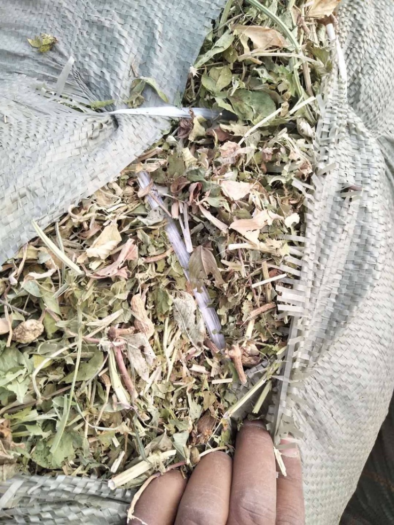 【东北花生秧草】货源充足品质保证可长期合作欢迎来电