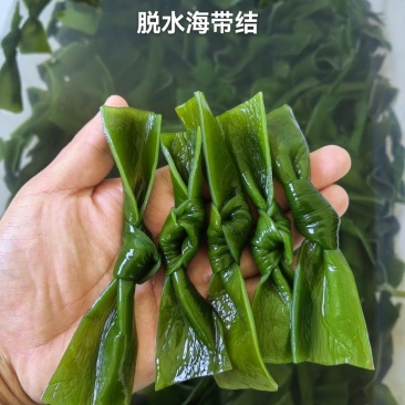 海带中结，纯绿色，泡发货，可根据客户需求定做。