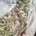 【东北花生秧草】货源充足品质保证可长期合作欢迎来电