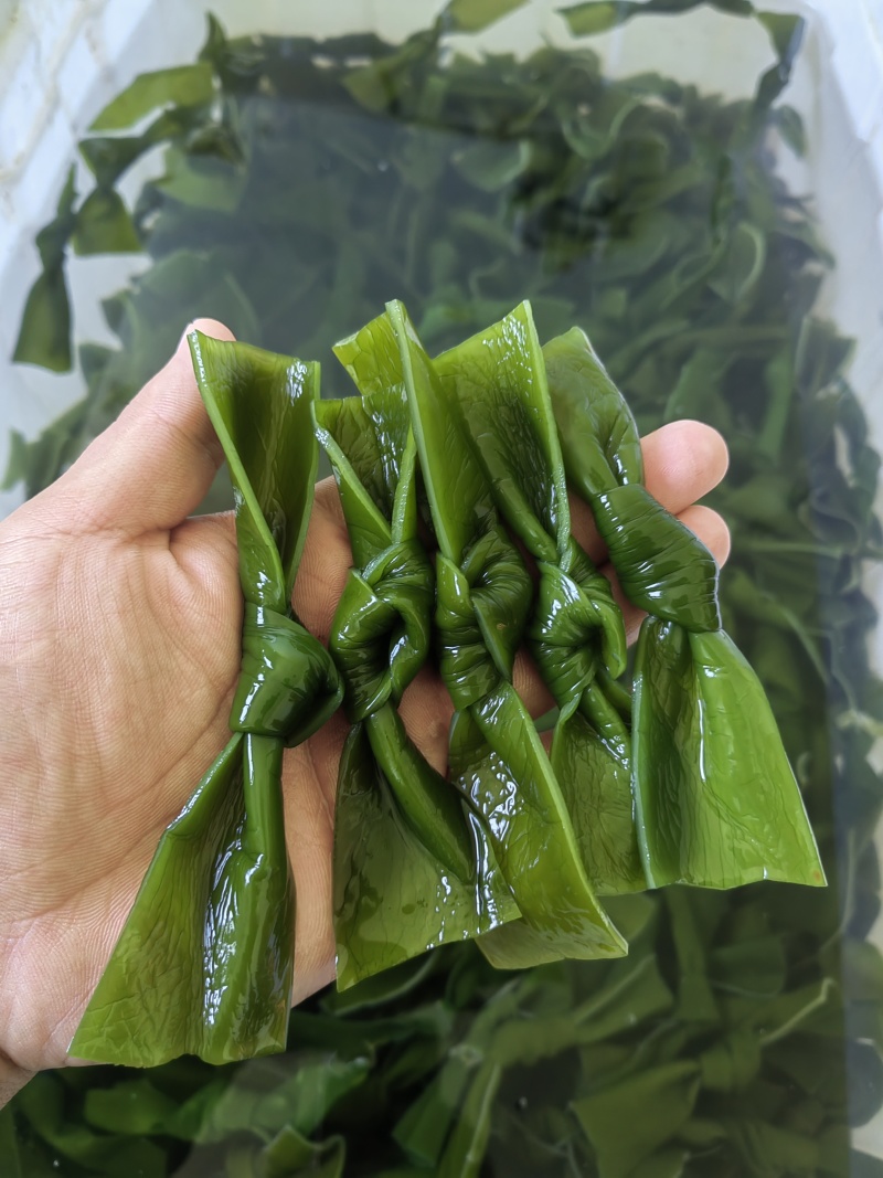 海带中结，纯绿色，泡发货，可根据客户需求定做。