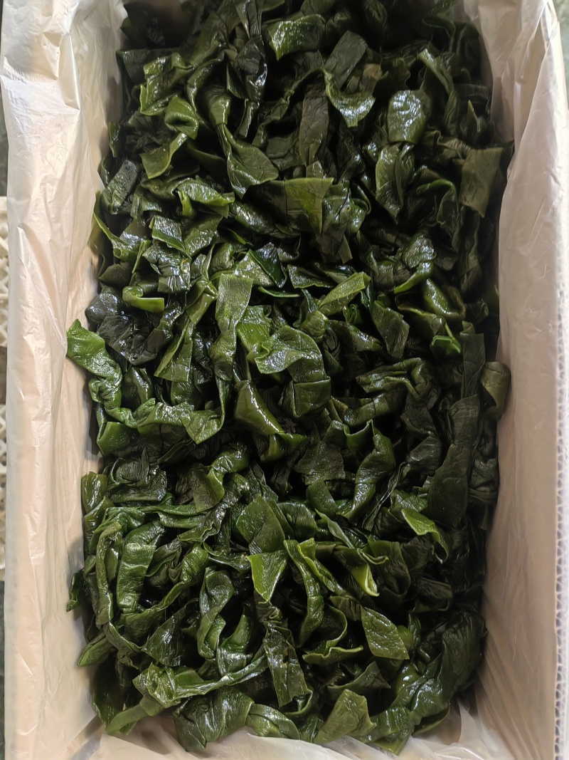 海带中结，纯绿色，泡发货，可根据客户需求定做。