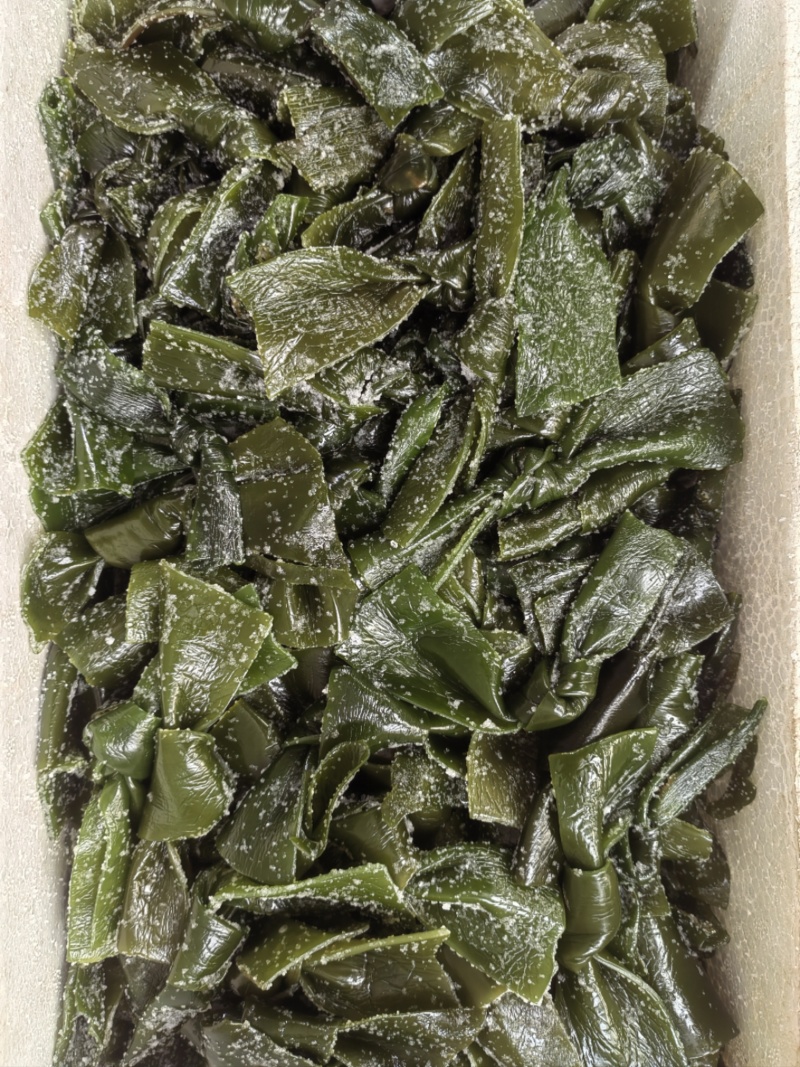 海带中结，纯绿色，泡发货，可根据客户需求定做。