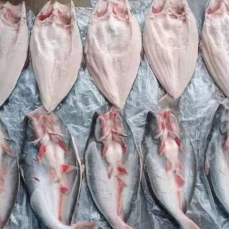 巴沙鱼质量好价格好一手货源批发量大价优全国可发货