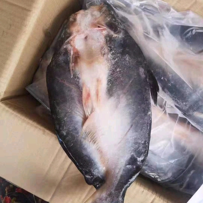巴沙鱼质量好价格好一手货源批发量大价优全国可发货
