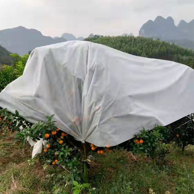【无纺布】育苗育秧无纺布果蔬防寒无纺布种植无纺布绿化无纺布
