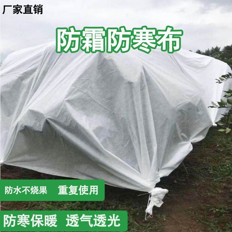 【无纺布】育苗育秧无纺布果蔬防寒无纺布种植无纺布绿化无纺布