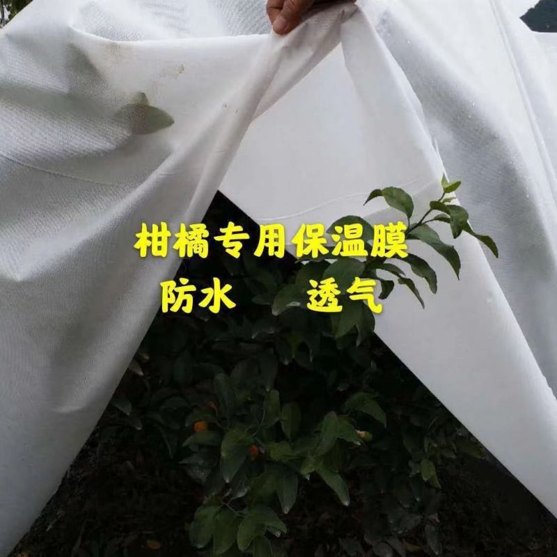 【无纺布】育苗育秧无纺布果蔬防寒无纺布种植无纺布绿化无纺布