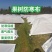 【无纺布】育苗育秧无纺布果蔬防寒无纺布种植无纺布绿化无纺布