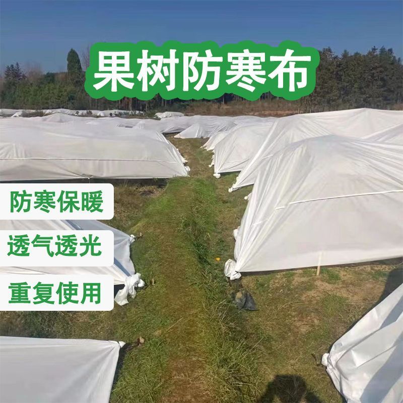 【无纺布】育苗育秧无纺布果蔬防寒无纺布种植无纺布绿化无纺布