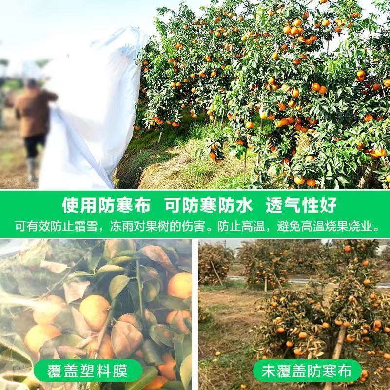 【无纺布】育苗育秧无纺布果蔬防寒无纺布种植无纺布绿化无纺布
