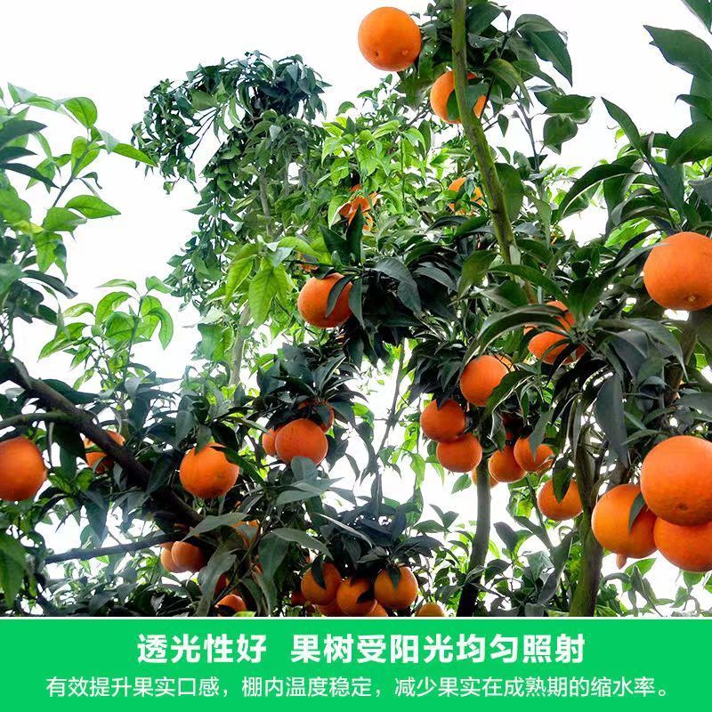 【无纺布】育苗育秧无纺布果蔬防寒无纺布种植无纺布绿化无纺布
