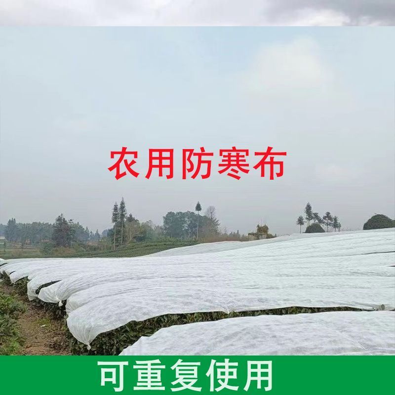 【无纺布】育苗育秧无纺布果蔬防寒无纺布种植无纺布绿化无纺布