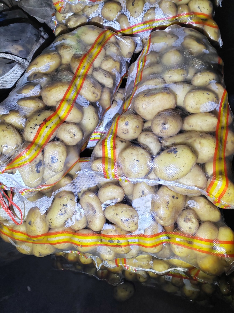 黄心土豆，颜色薯型没的说，看就是了，货量大，随时供应