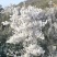 大降温