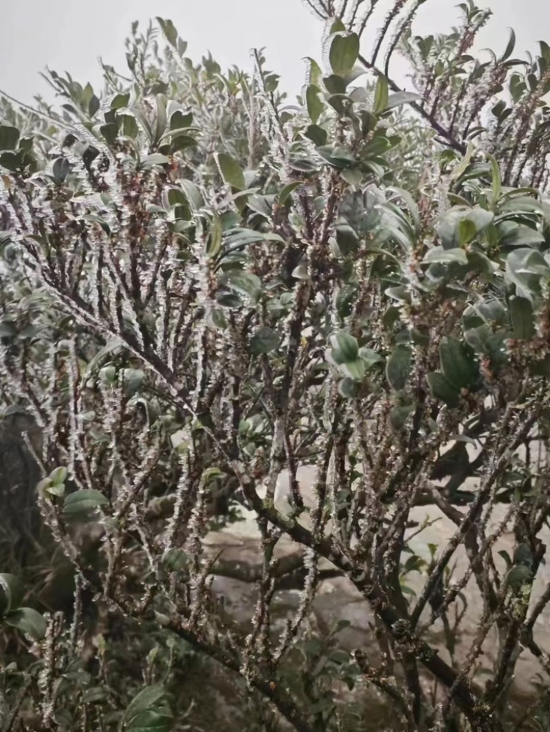 大降温
