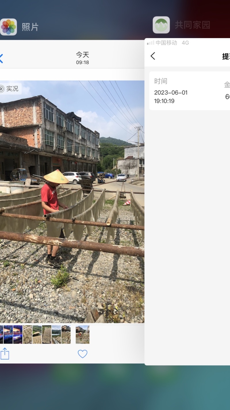 地瓜粉（番薯粉）