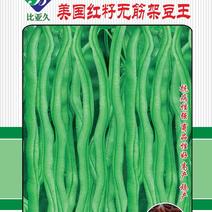 无筋豆种子泰国红籽无筋架豆王抗病性强商品性好结荚密
