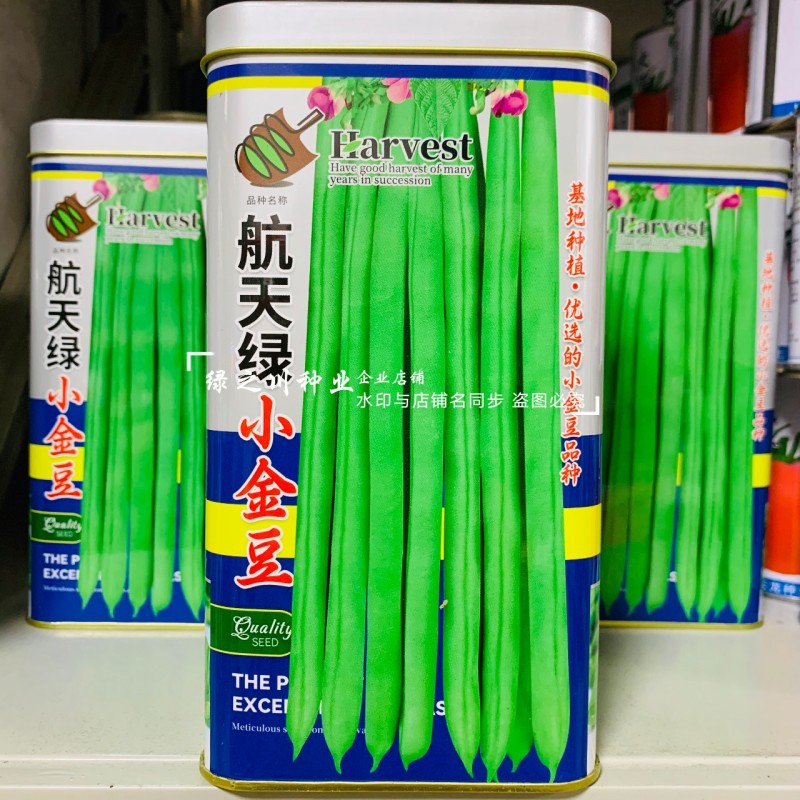 航天绿小金豆种子荚长无筋高产春秋基地优选圆形荚四季豆种子
