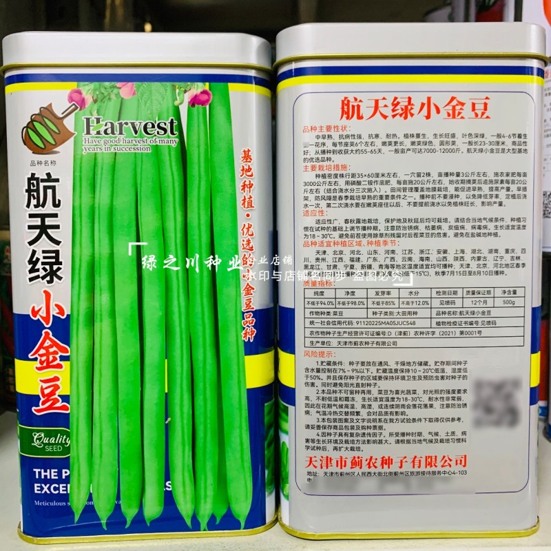 航天绿小金豆种子荚长无筋高产春秋基地优选圆形荚四季豆种子