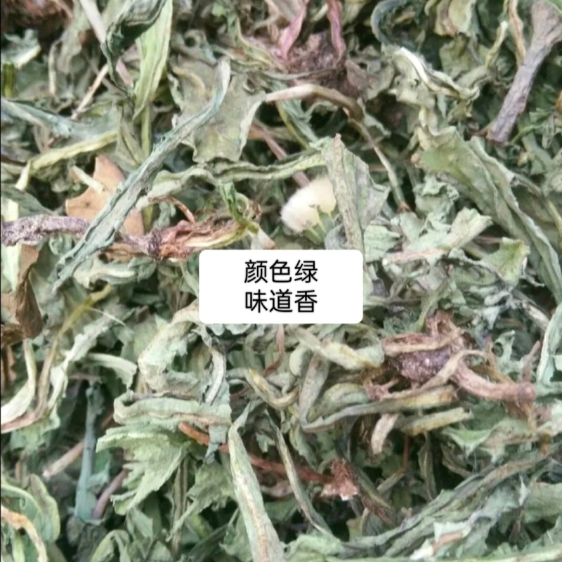 四川纯野生蒲公英，颜色绿，干净无杂质，保存得很好