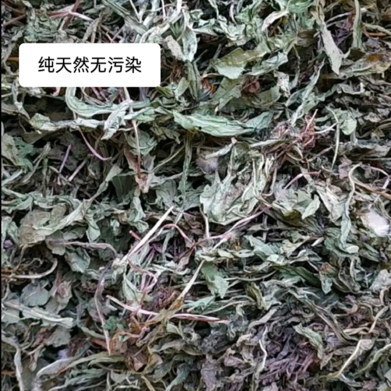 四川纯野生蒲公英，颜色绿，干净无杂质，保存得很好