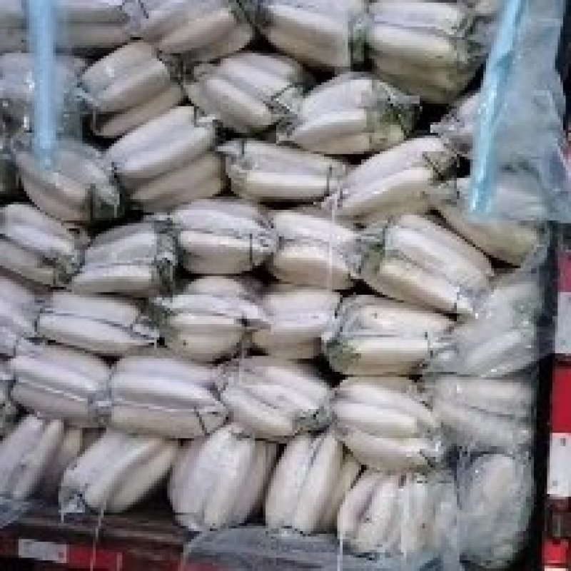 青萝卜，白萝卜，还是大量有货，需要的请与我这一亩田合作