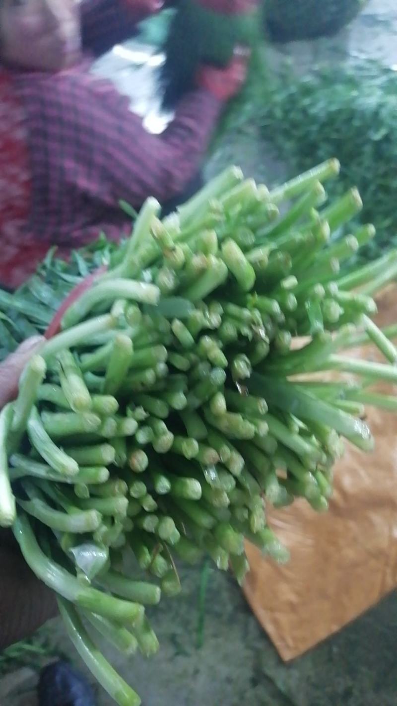 韭菜头刀需要联系