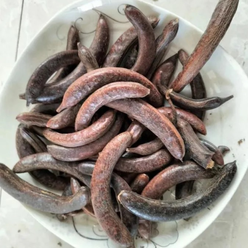 猪牙皂药材保真保量货源充足包邮药材齐全