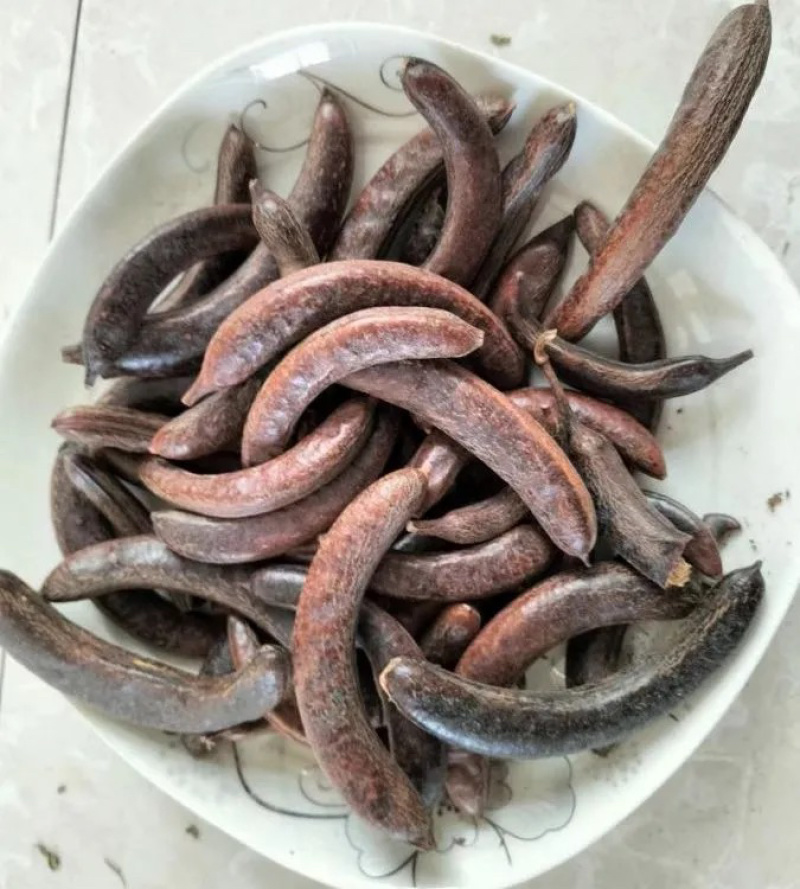 猪牙皂药材保真保量货源充足包邮药材齐全