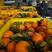 广西纽荷尔脐橙对接商超电商市场外贸等产地供货
