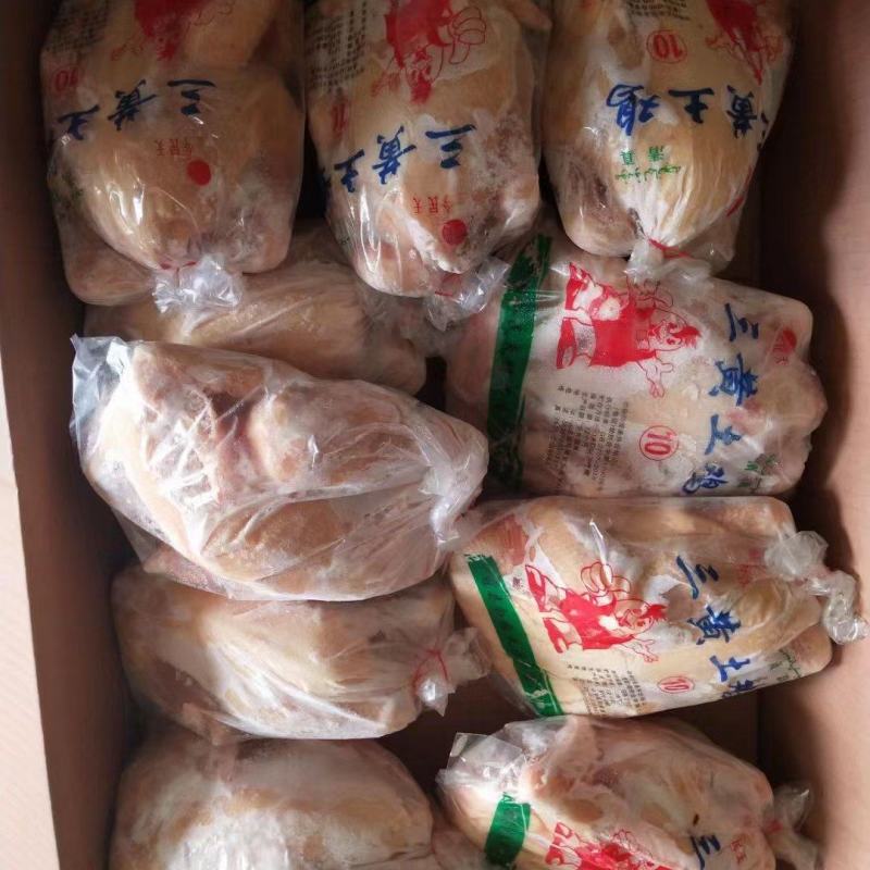 一级三黄鸡