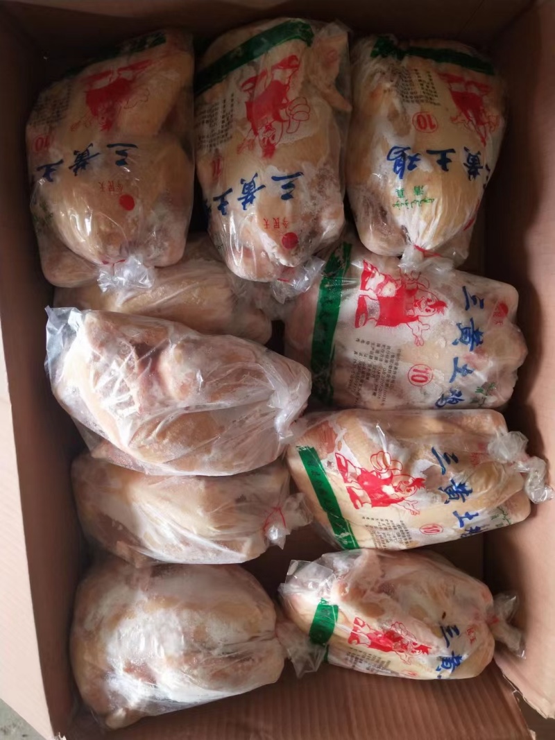 一级三黄鸡