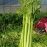 芹菜