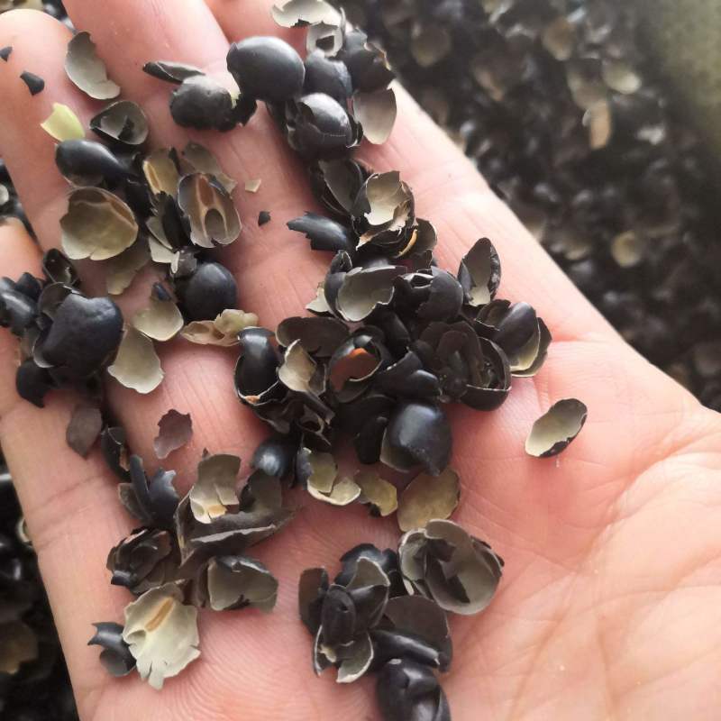 黑豆衣，新货干度好无硫实拍现货24小时内发货