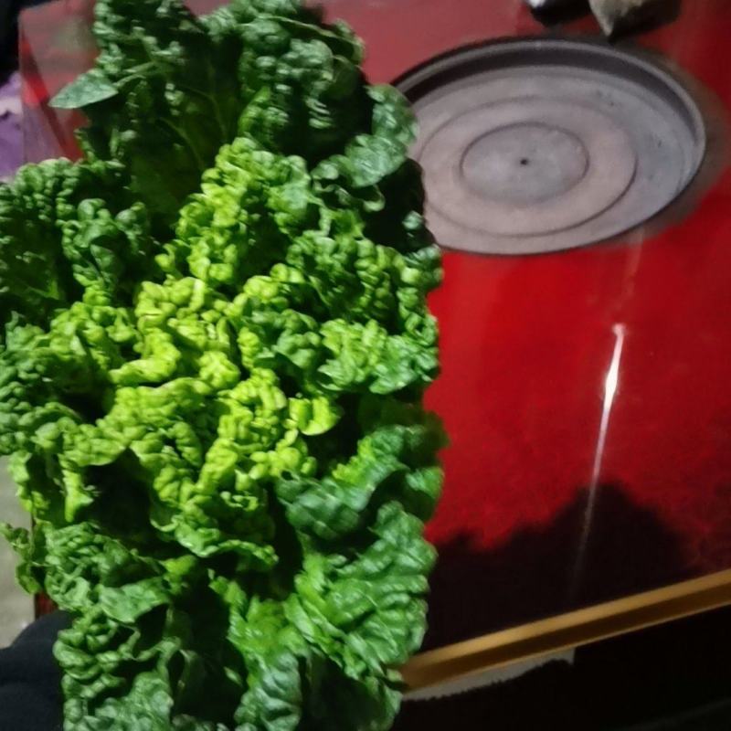 秋绿白菜持续有货。