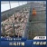 山东仔猪繁育基地包成活，好饲养防疫齐全支持全国发货。