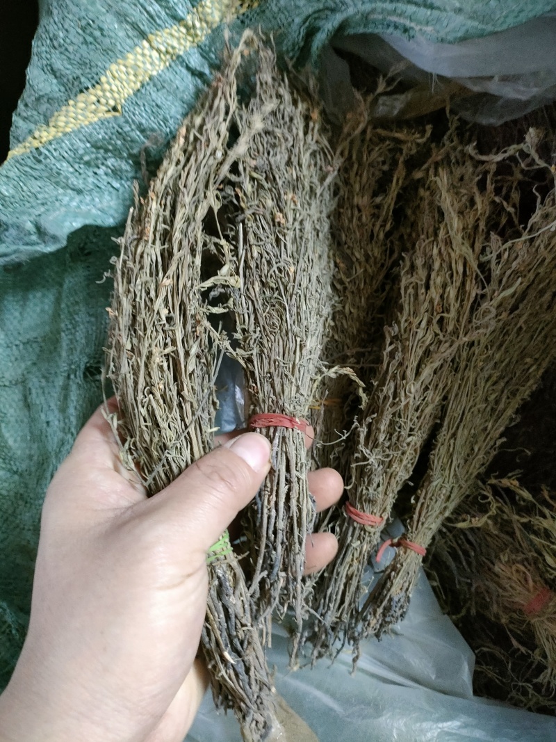 独脚金，疳积草，青绿色。100元一斤。